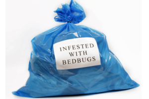Image of a blue bag with a sign that reads "INFESTED WITH BEDBUGS"
